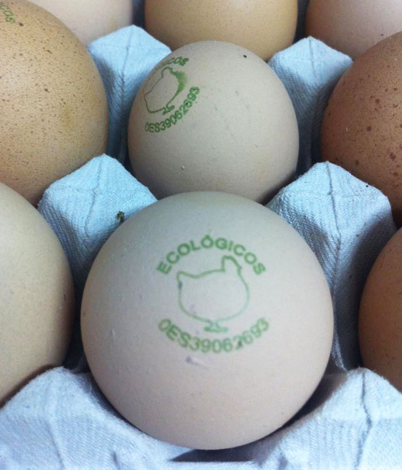 huevos-eco-cantabria
